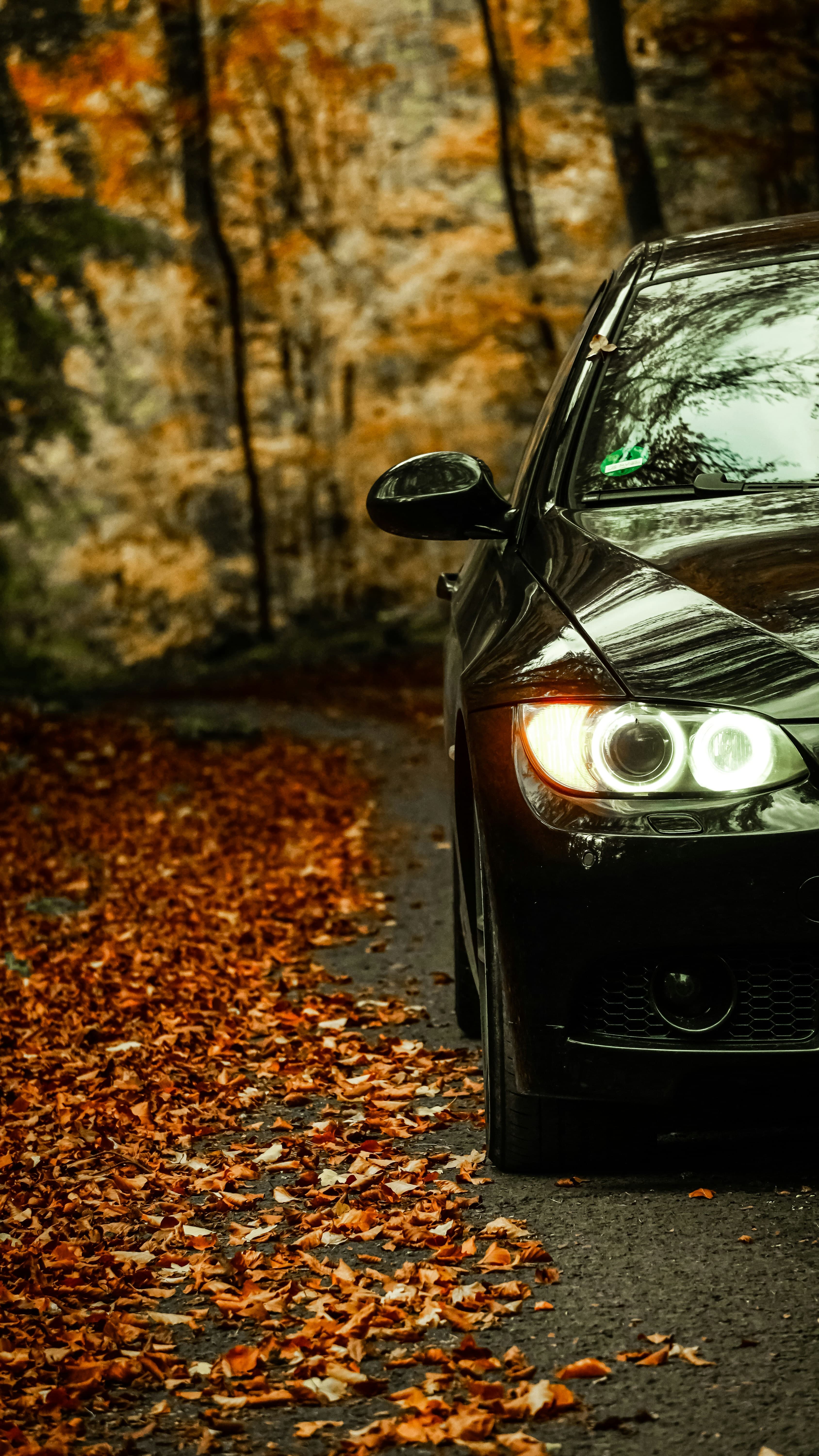 Close-up of a black BMW sitting on a carpet of brown autumn leaves