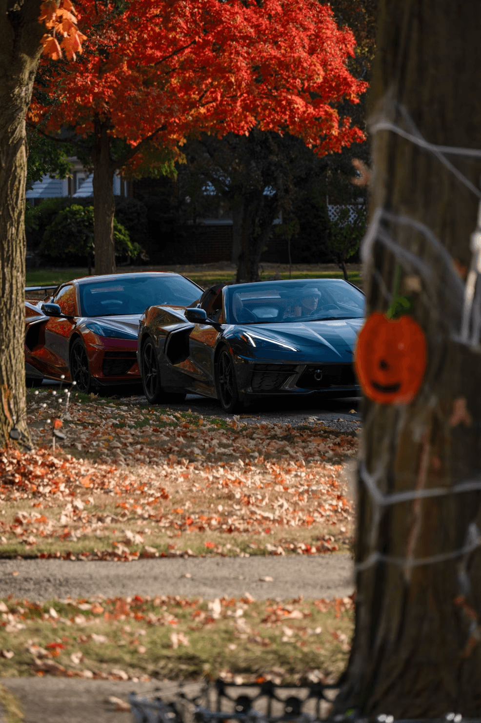 Dark Audi driving through a cinematic tunnel of fall foliage